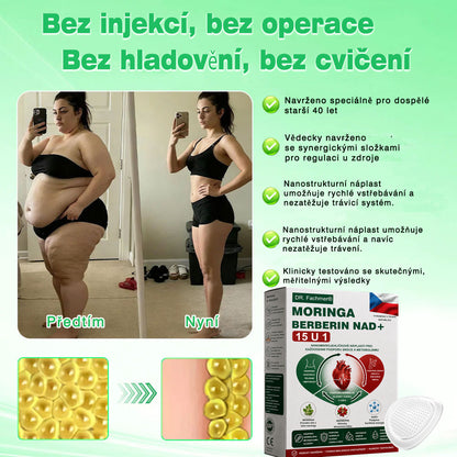 🏆 DR.Fachmer® Moringa + Berberin + NAD+ 15v1 nano-mikrojehličková náplast | Nová generace péče o tělo s pokročilou nano formulí ✨