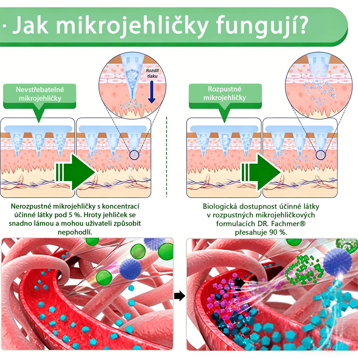 🏆 DR.Fachmer® Moringa + Berberin + NAD+ 15v1 nano-mikrojehličková náplast | Nová generace péče o tělo s pokročilou nano formulí ✨
