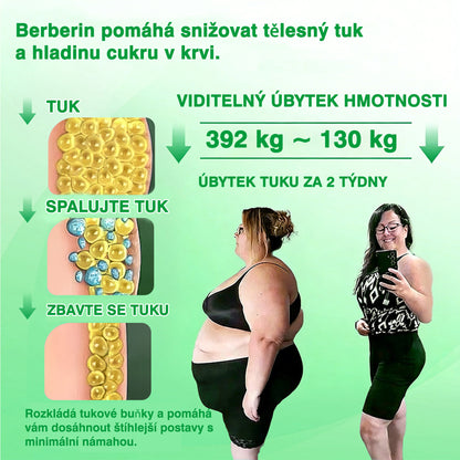 🏆 DR.Fachmer® Moringa + Berberin + NAD+ 15v1 nano-mikrojehličková náplast | Nová generace péče o tělo s pokročilou nano formulí ✨