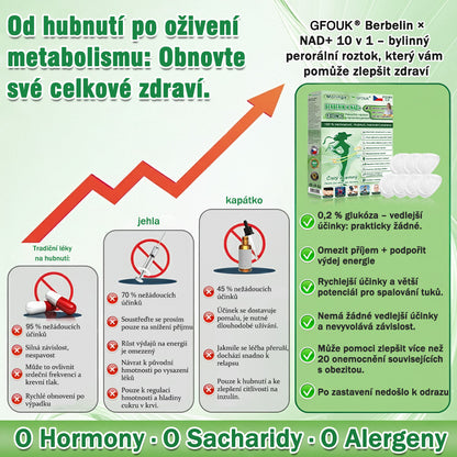 Oficiální obchod | ✨GFOUK® Moringa · Berberine × NAD+ 10v1 Pokročilá nano mikronáplast🇺🇸
