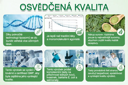 Oficiální obchod | ✨GFOUK® Moringa · Berberine × NAD+ 10v1 Pokročilá nano mikronáplast🇺🇸
